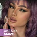 لنز Bella One Day Cedar تصویر 1
