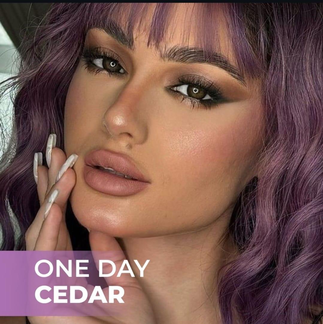  لنز رنگی چشم   Bella One Day Cedar